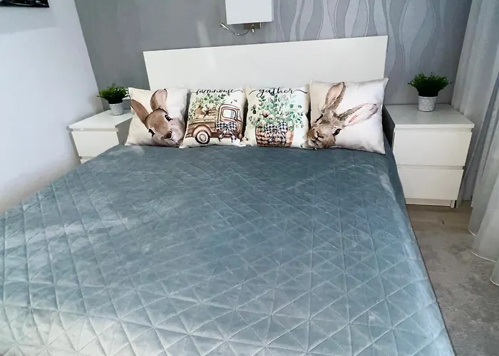 Downtown Dream Apartmans
