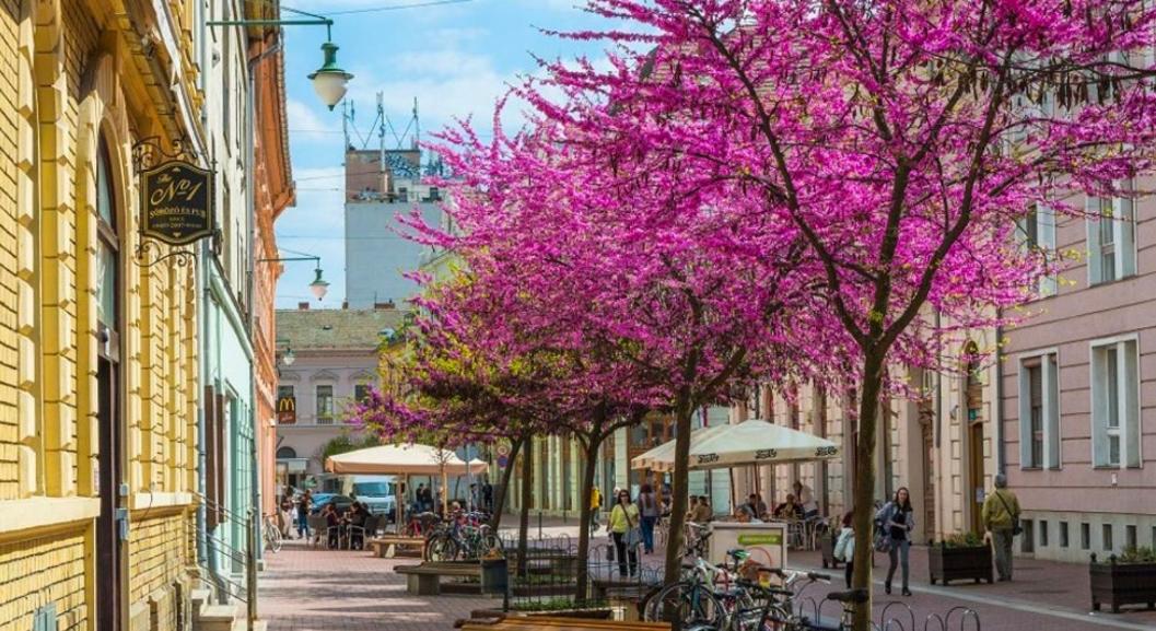 Downtown Dream Apartmans * Szegedin